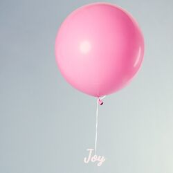 Cover of Joy