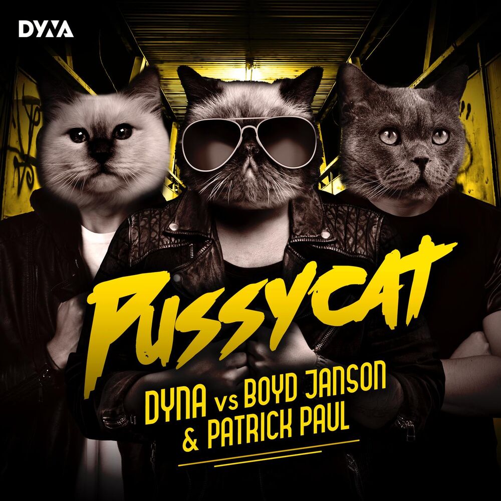 Picture of Pussycat (feat. Boyd Janson & Patrick Paul)