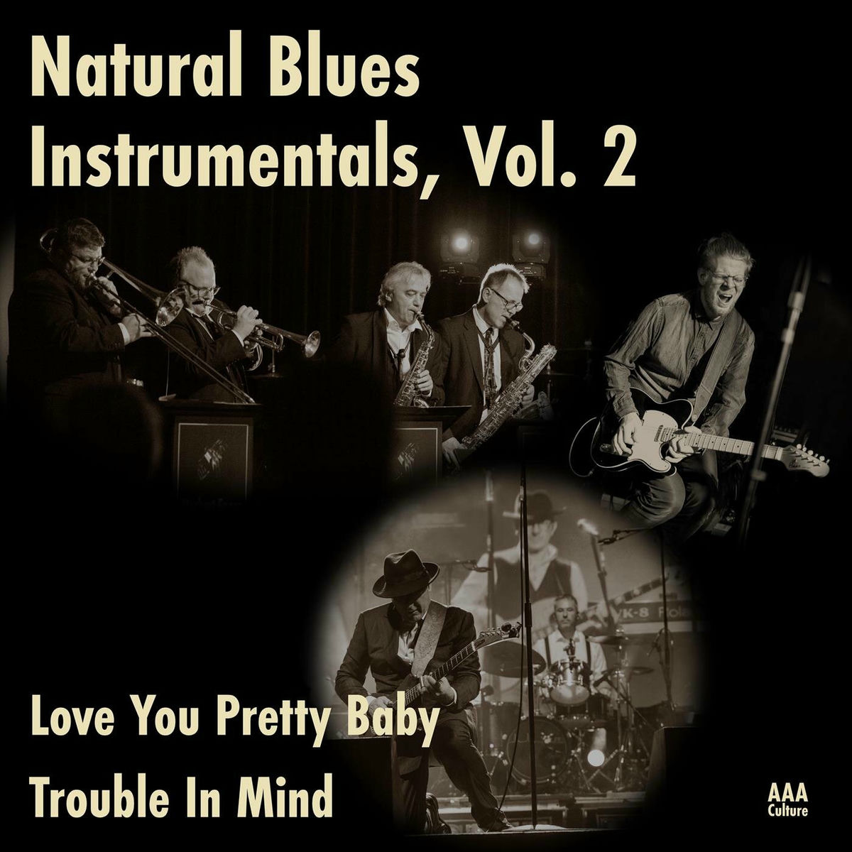 Album cover of Love You Pretty Baby (Instrumental)