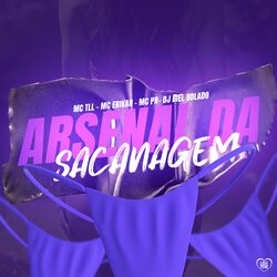 Cover of Arsenal da Sacanagem