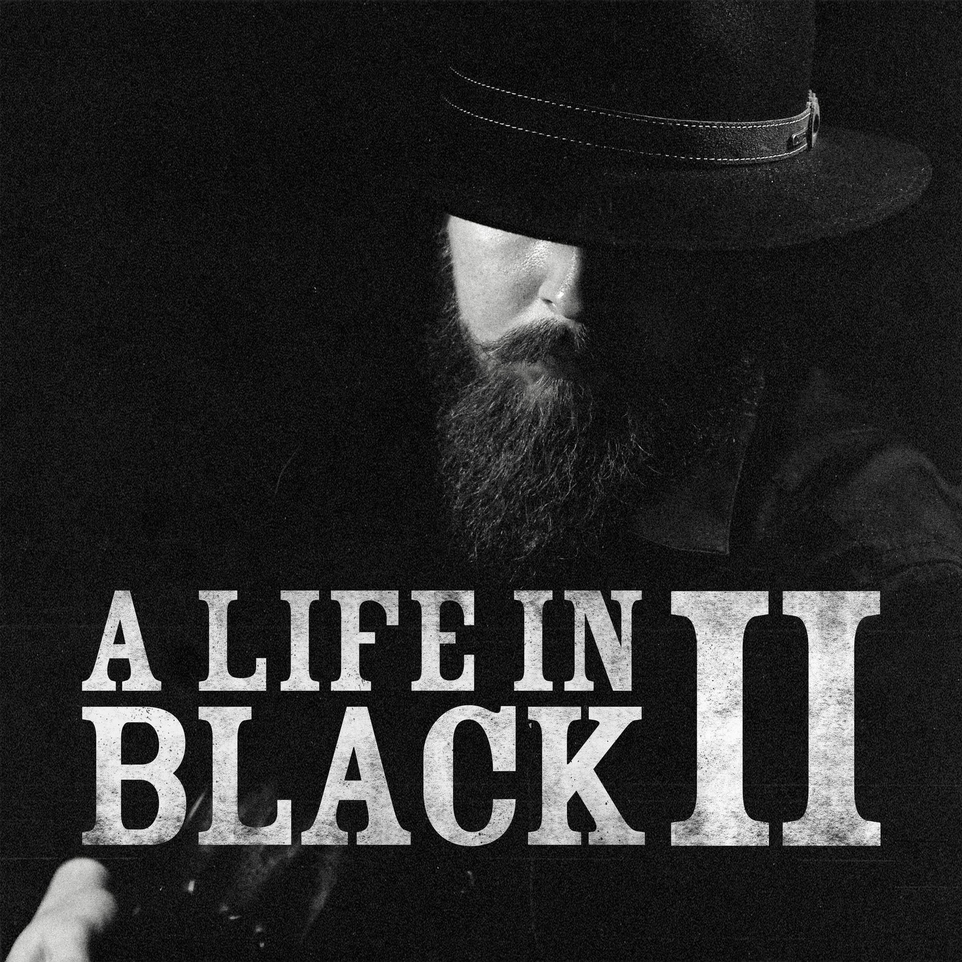 Album cover of A Life In Black II