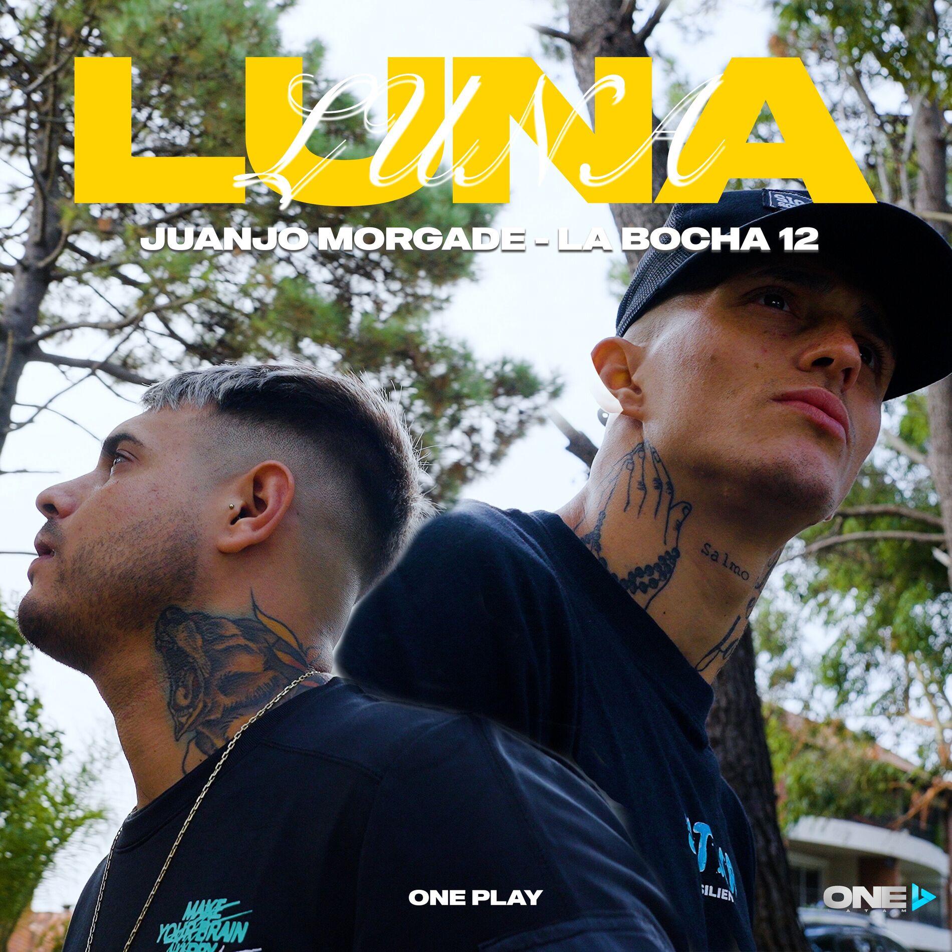 Album cover of Luna