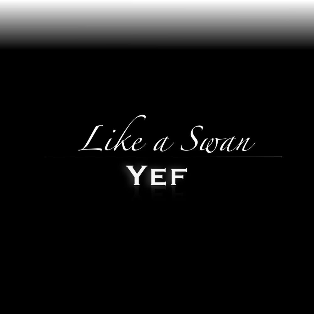 Picture of Like a Swan