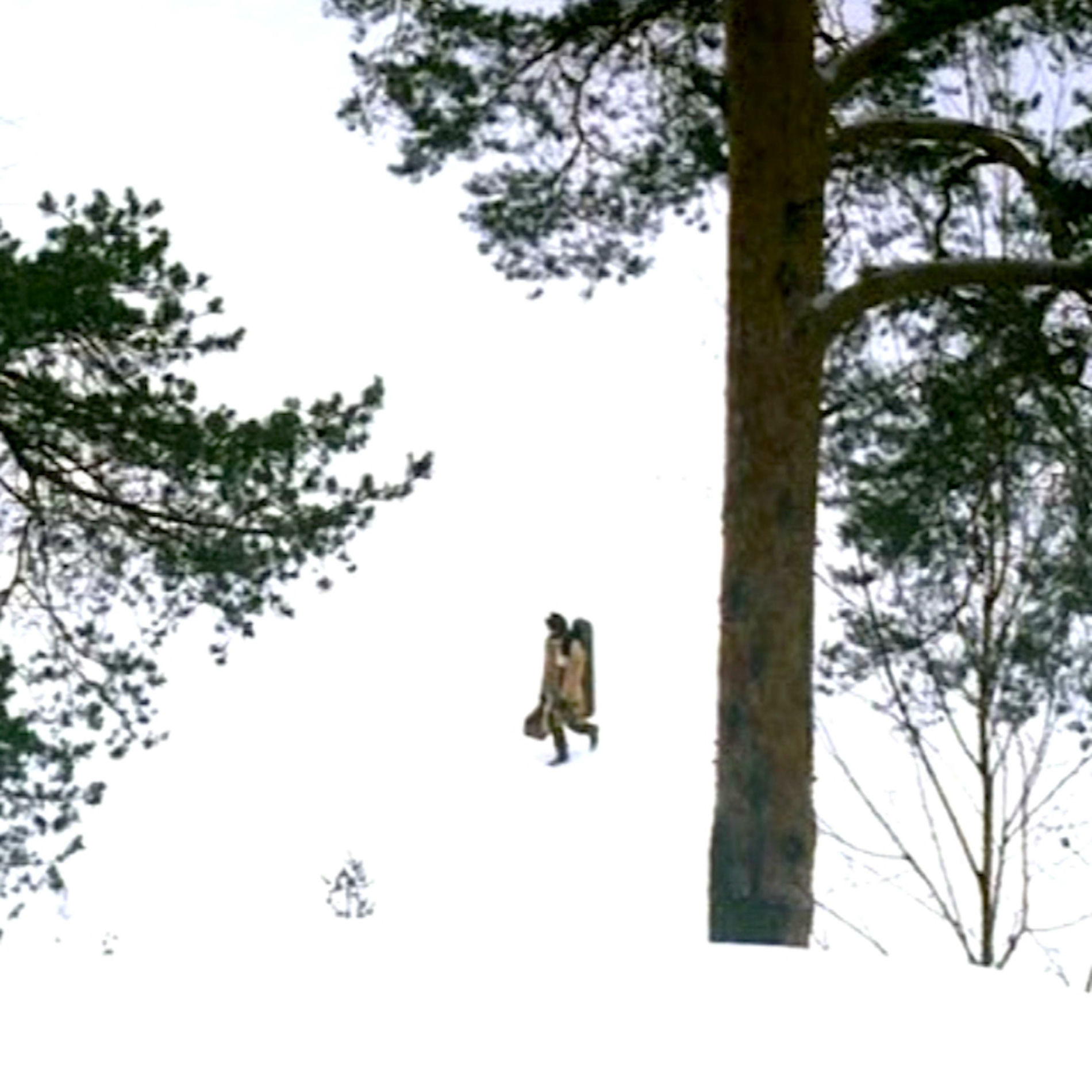 Album cover of Eyrie