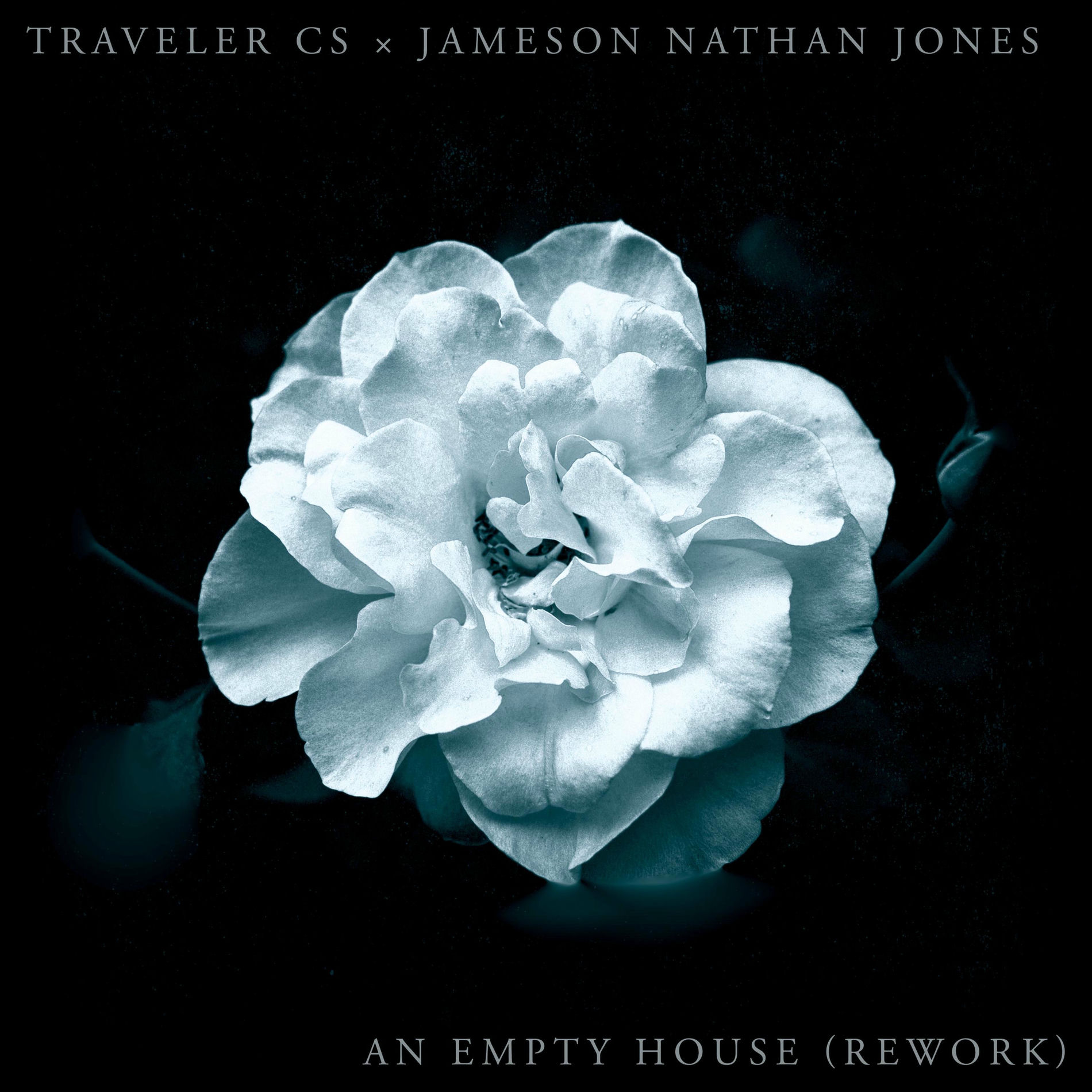 Album cover of An Empty House