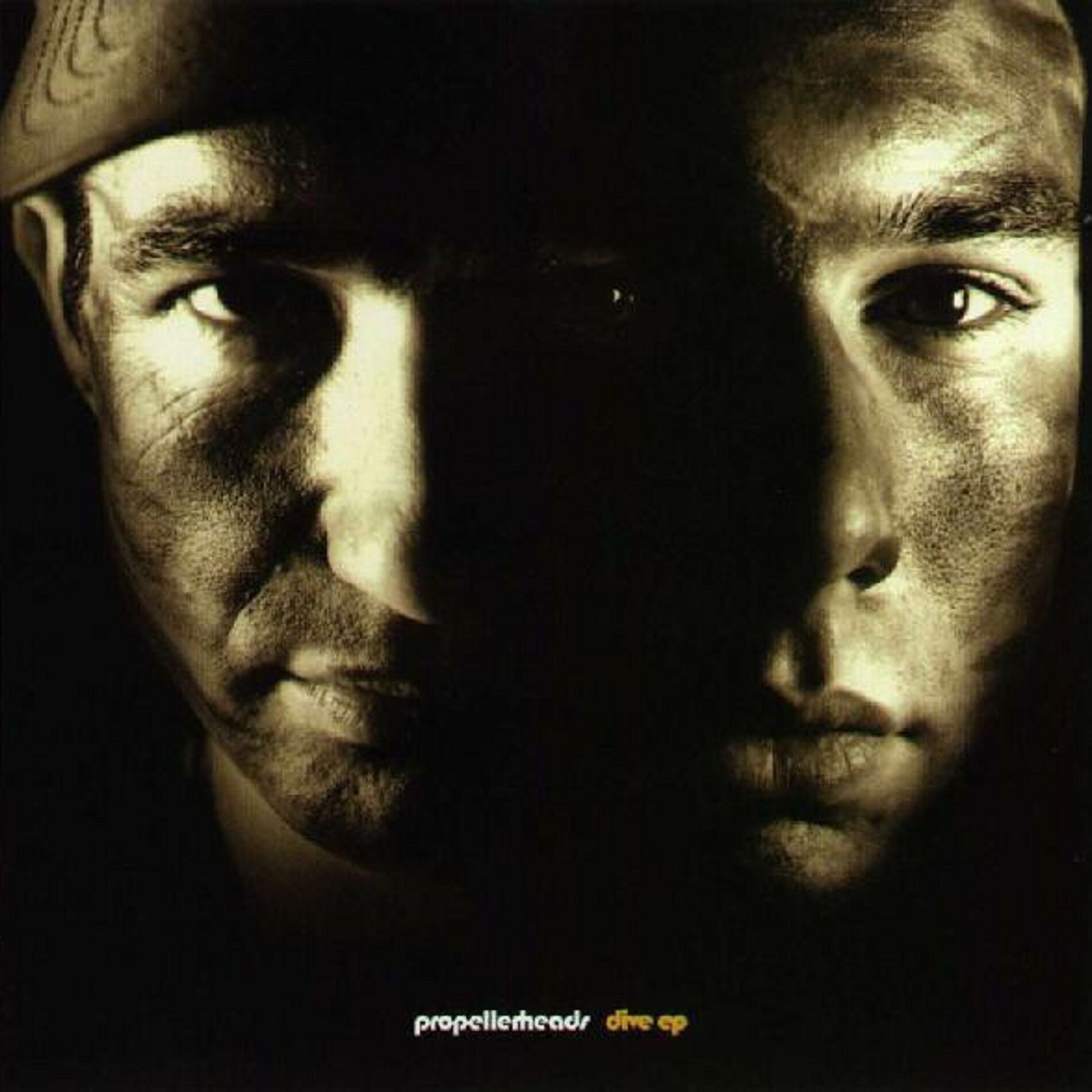 Album cover of Dive