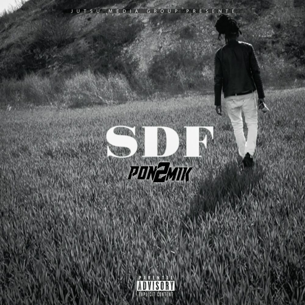 Picture of SDF