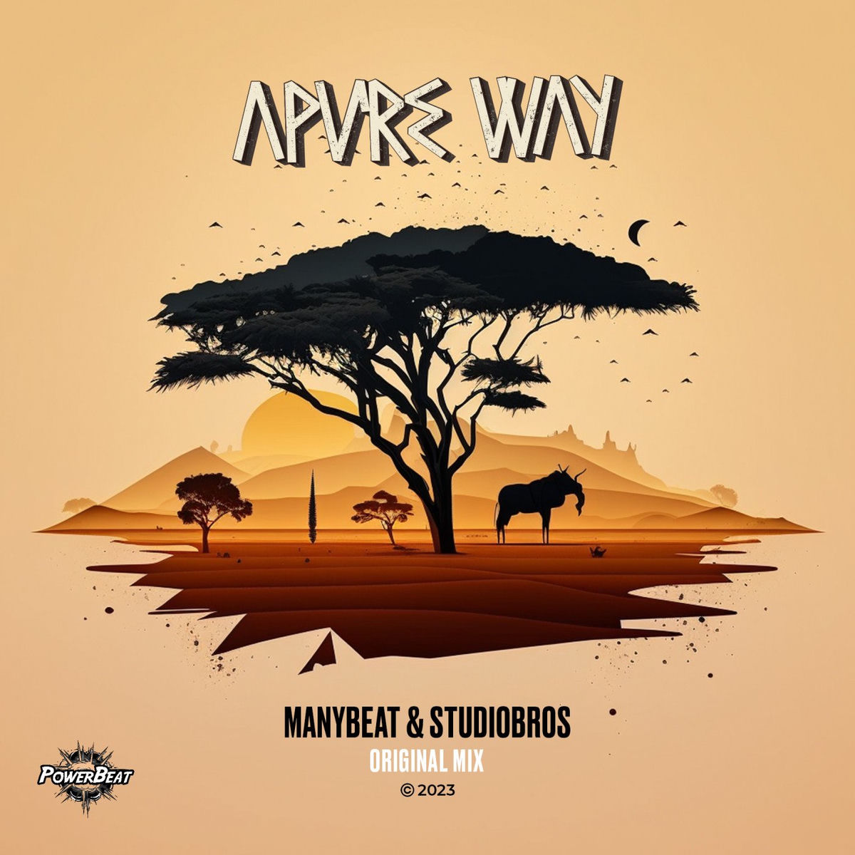 Album cover of Apure Way