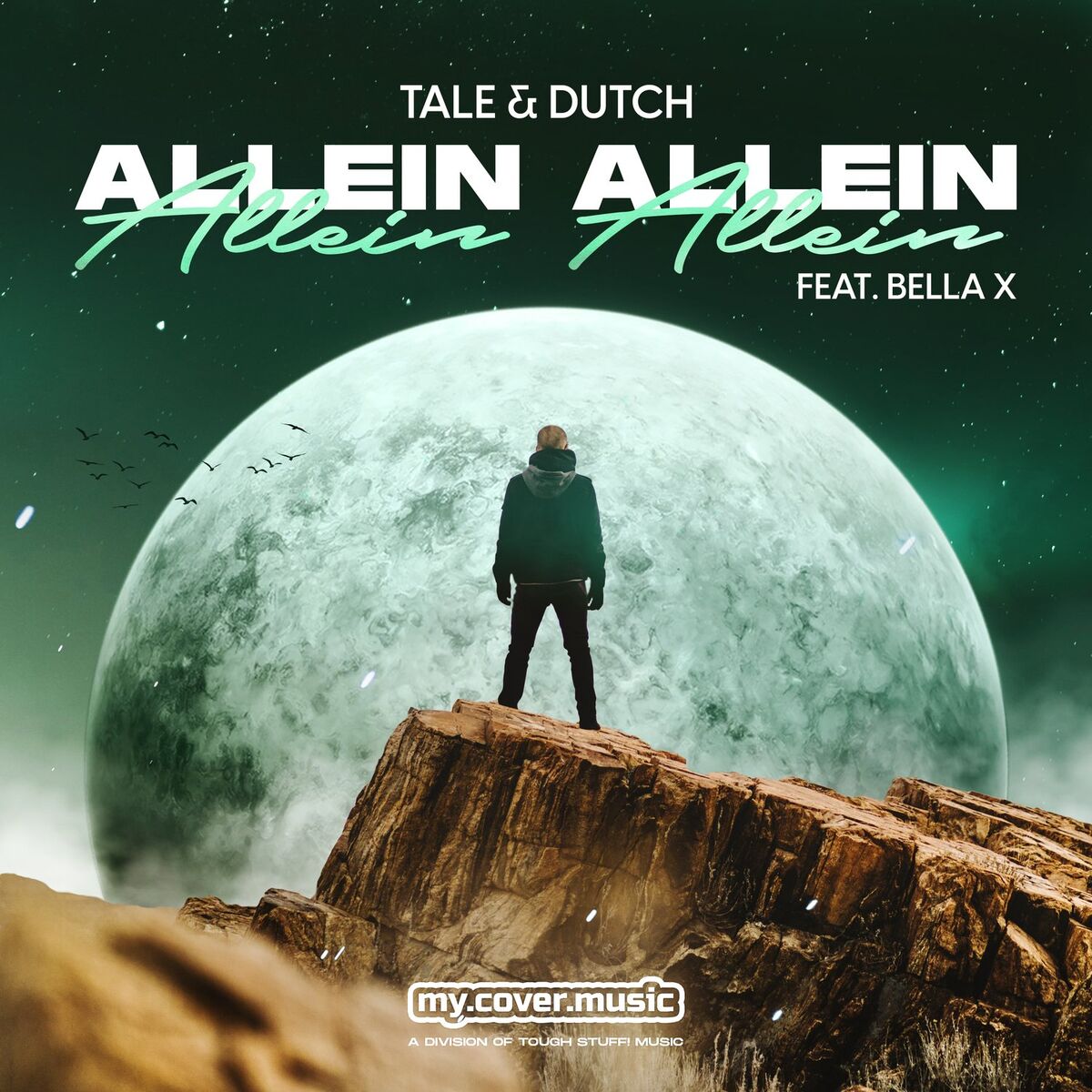 Album cover of Allein Allein