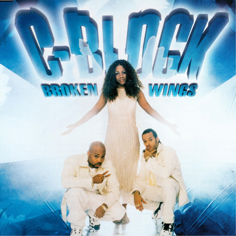 Picture of Broken Wings