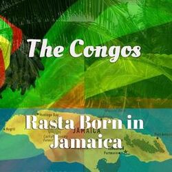 Cover of Rasta Born in Jamaica