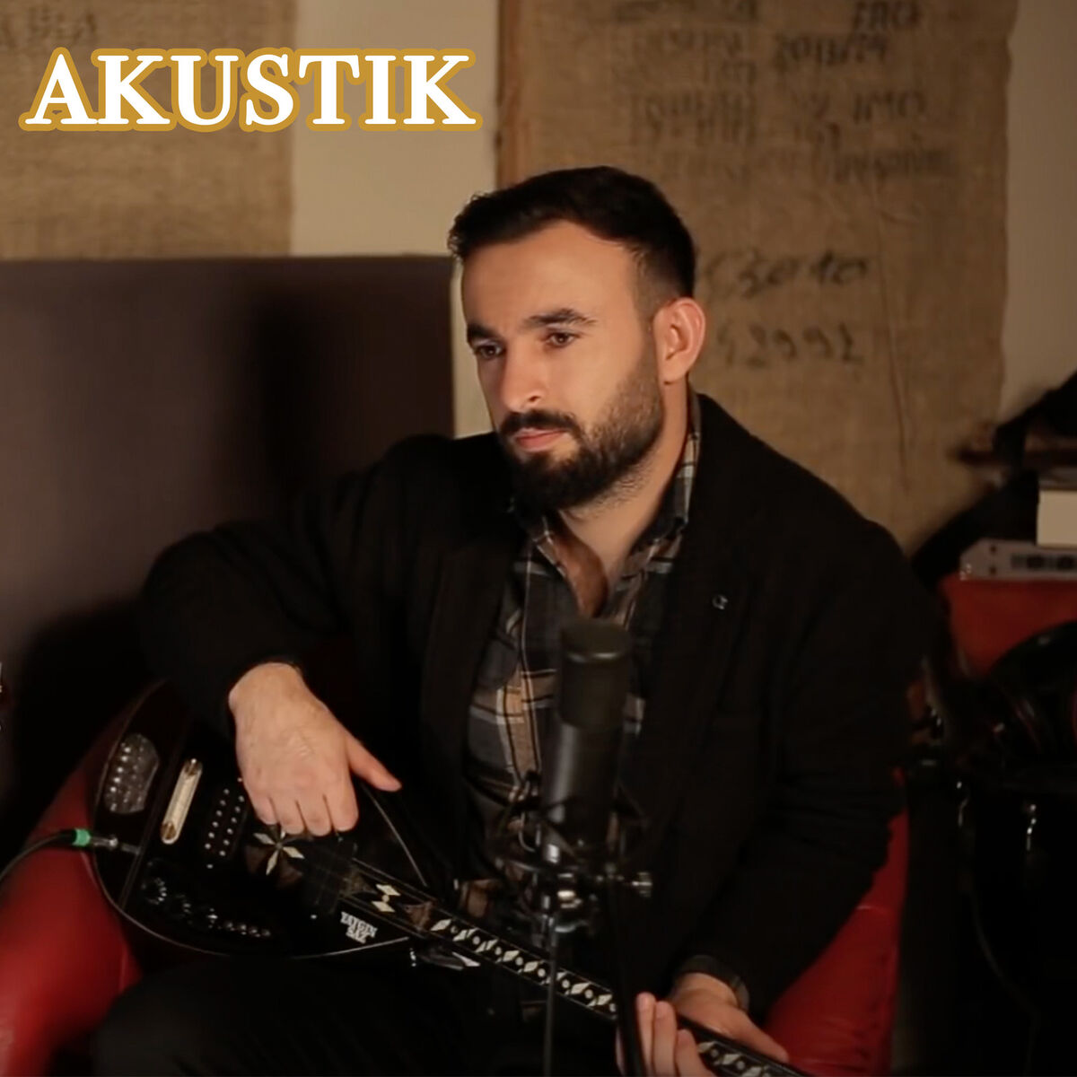 Album cover of Insan Gelmezmi?