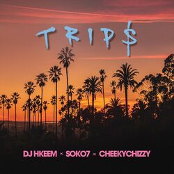 Cover of Trips