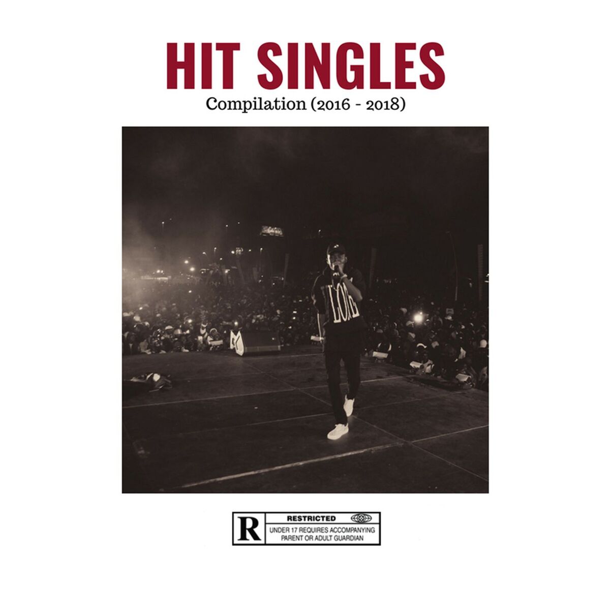 Album cover of Hit Singles Compilation