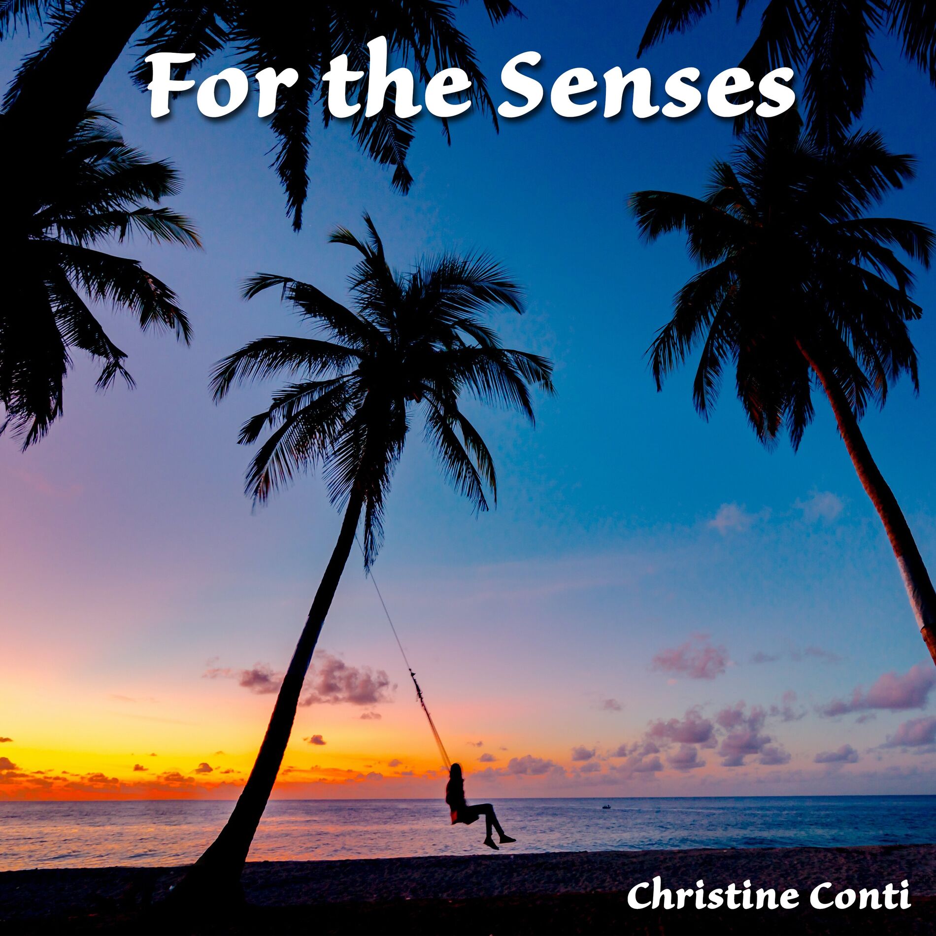 Album cover of For the Senses