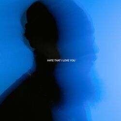 Cover of Hate That I Love You