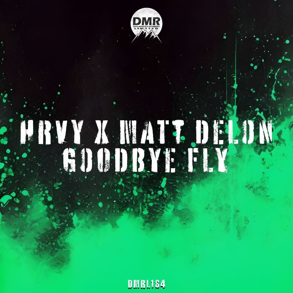 Goodbye Fly