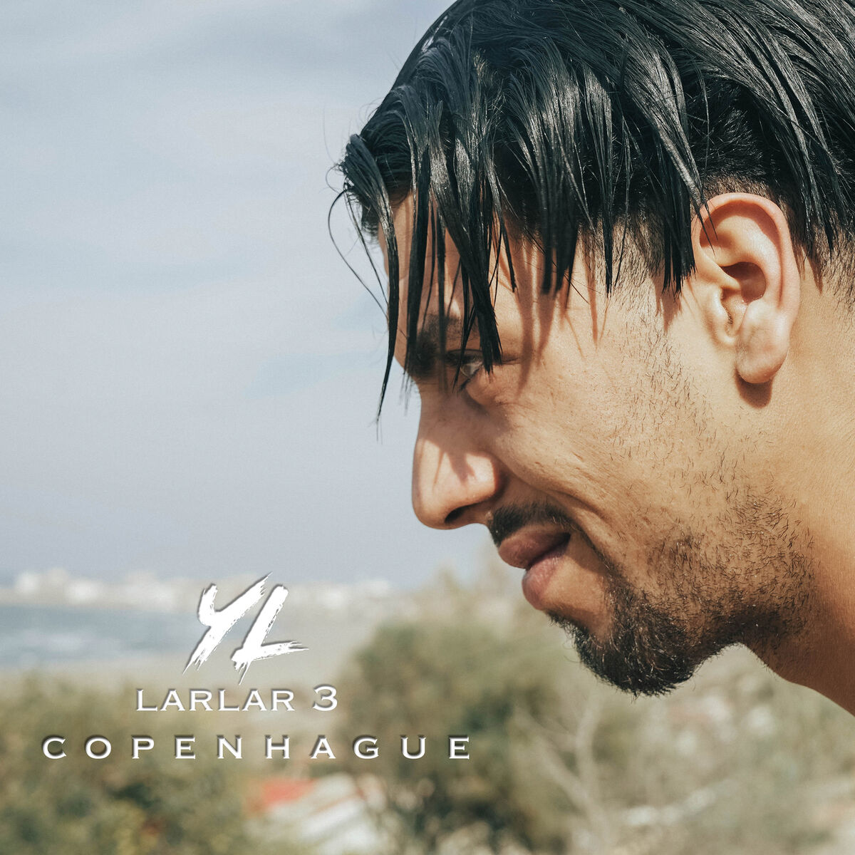 Album cover of Larlar 3 (Copenhague)