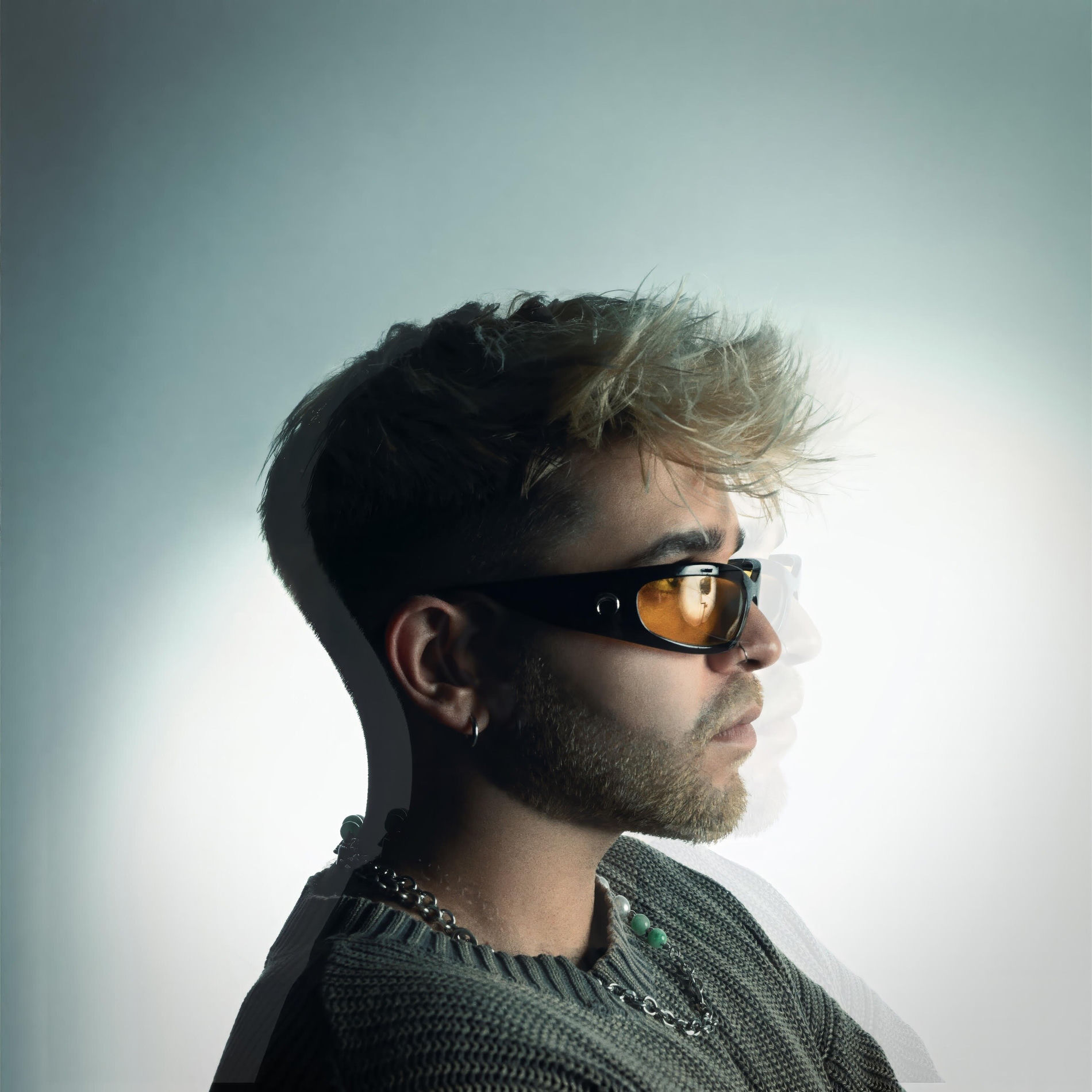 Album cover of Karma