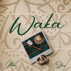 Descargar Waka - Mzizi MP3