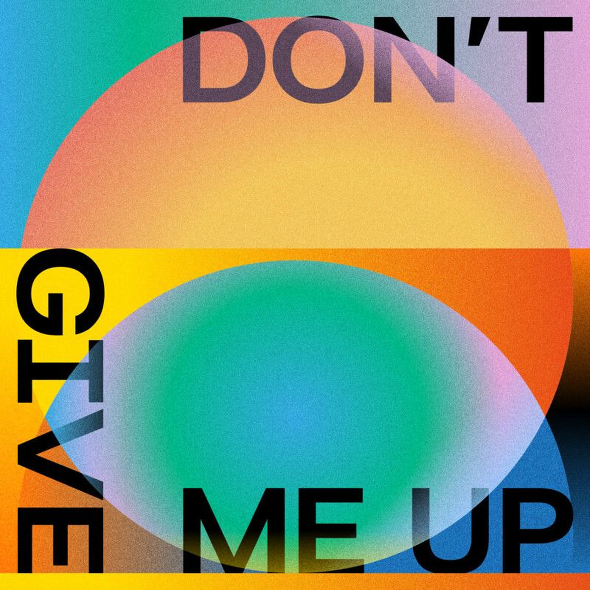 Album cover of Don't Give Me Up