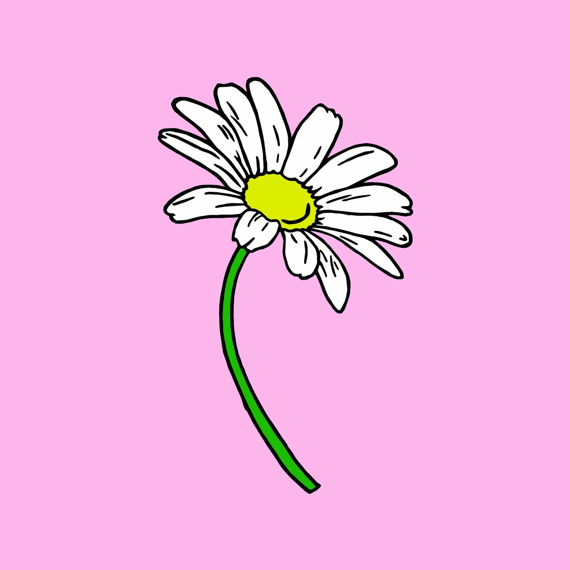 Album cover of Daisy