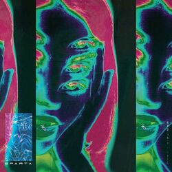 Cover of Bad Trip