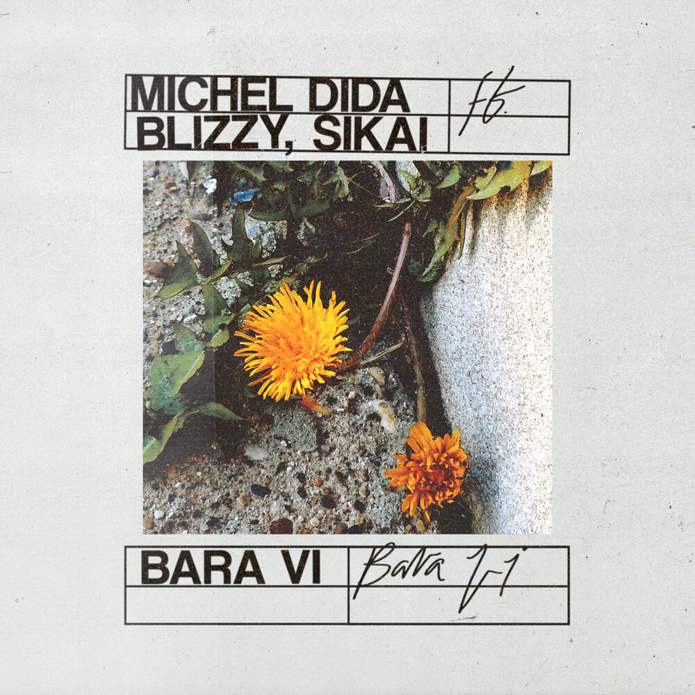 Picture of Bara Vi