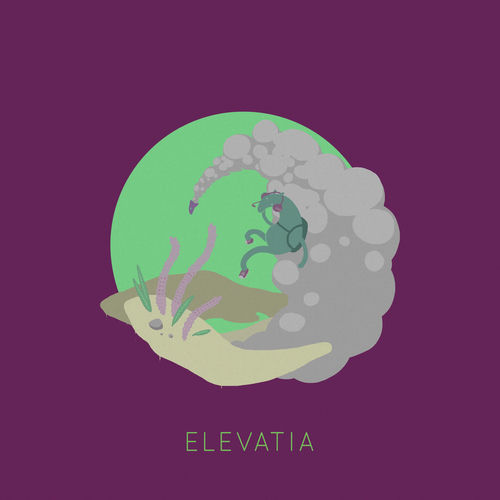 Elevatia sleeve
