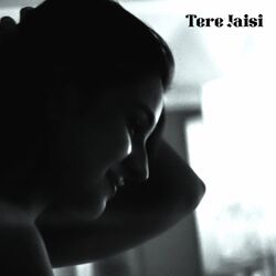Cover of Tere Jaisi