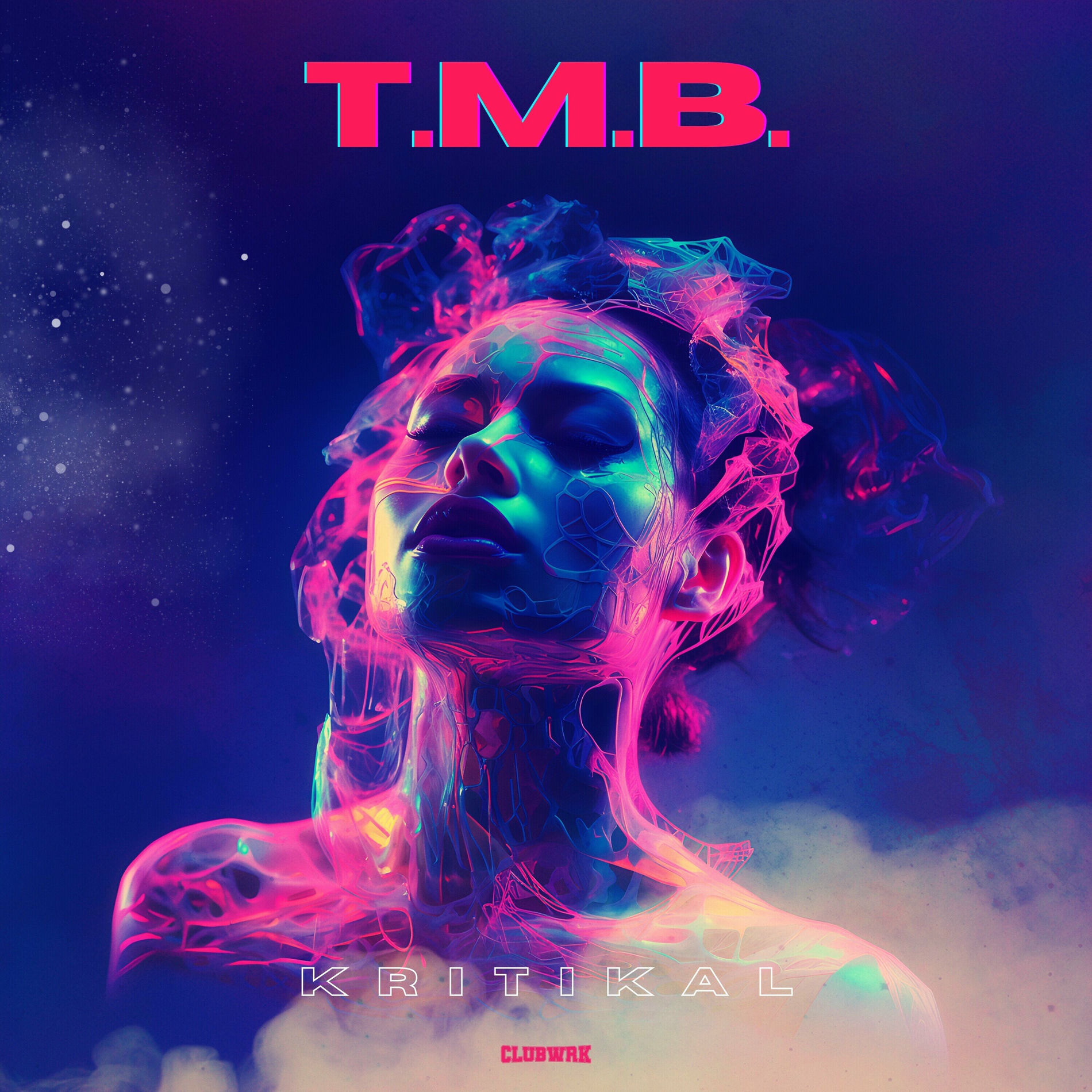 Album cover of T.M.B.