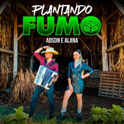 Cover of Plantando Fumo