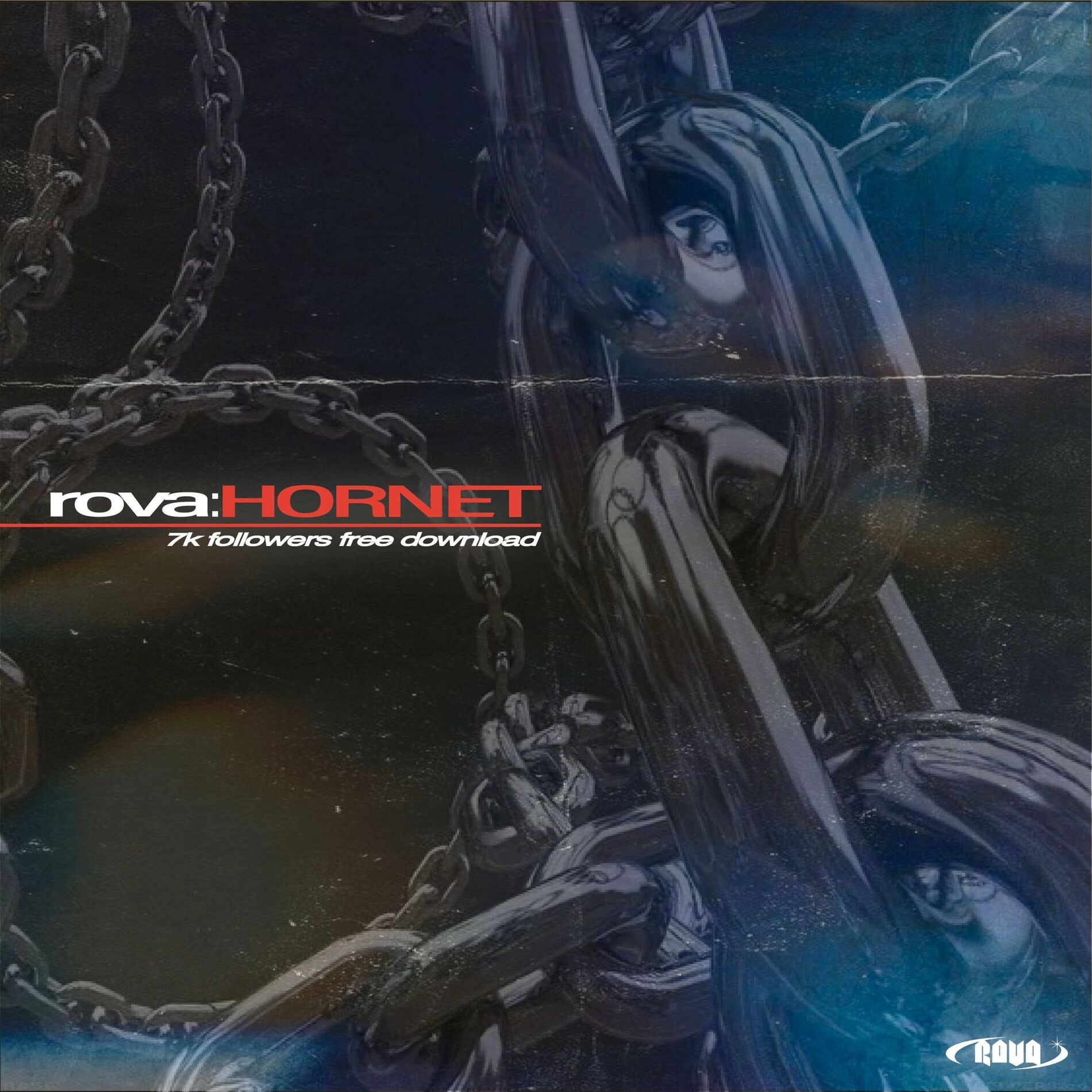 Album cover of Hornet