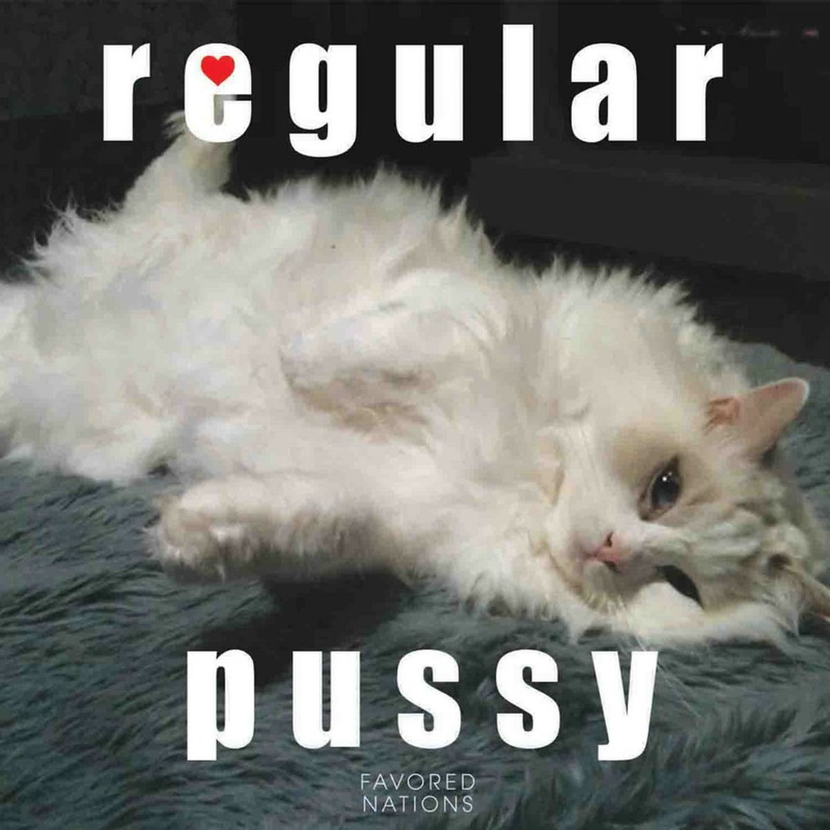 Album cover of Regular Pussy