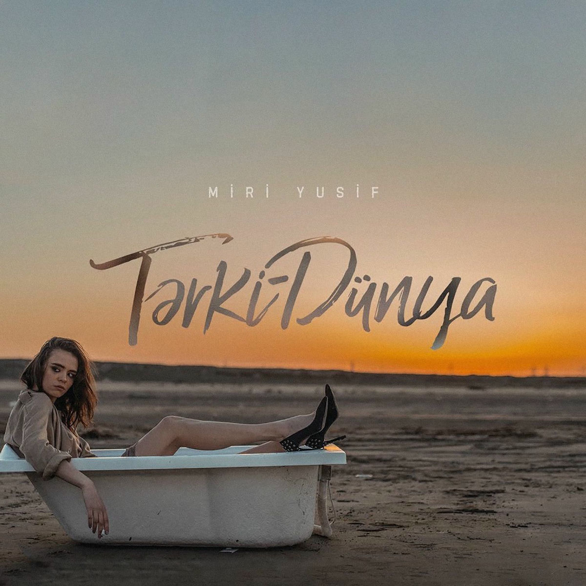 Album cover of Tərki-Dünya