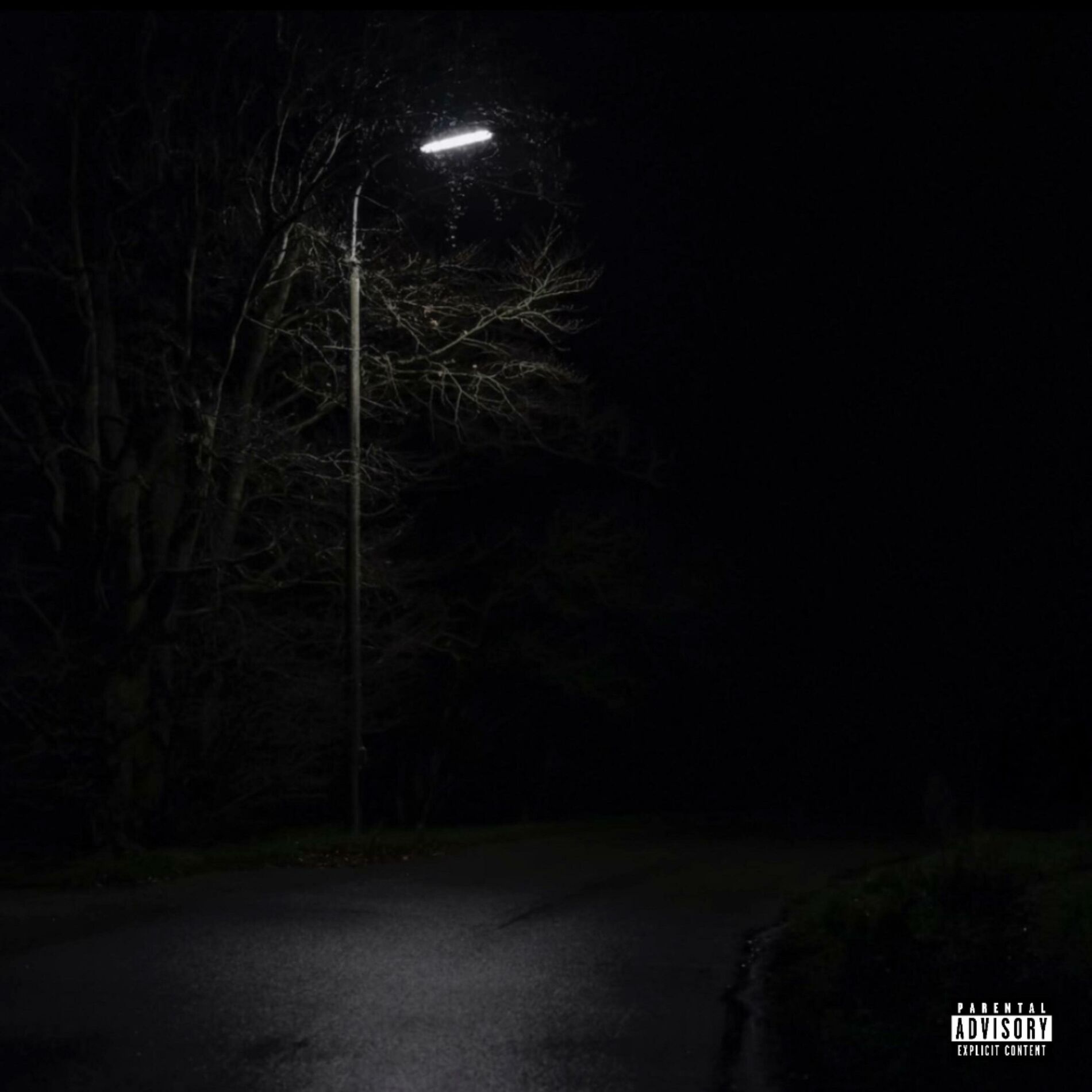 Album cover of Memory Lane