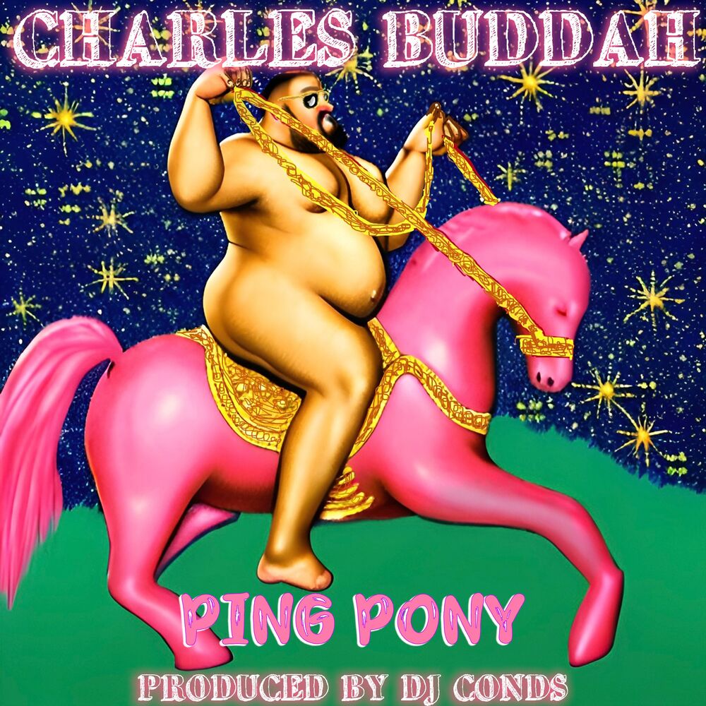 Picture of Ping Pony