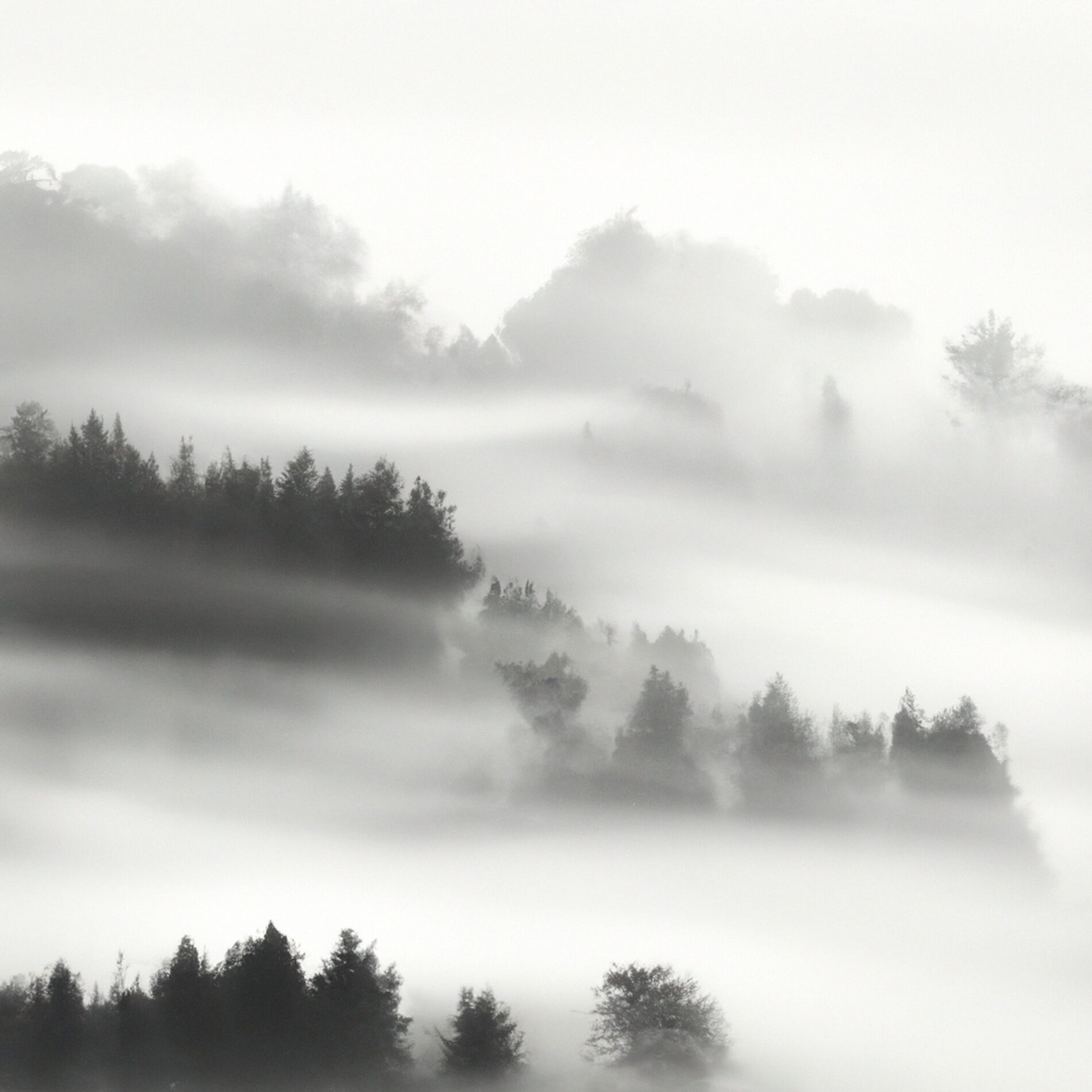 Album cover of Melodic Mists of the Orient