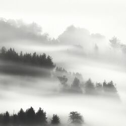 Melodic Mists of the Orient