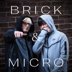 Cover of Brick & Micro