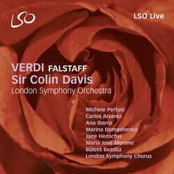 Cover of Verdi: Falstaff