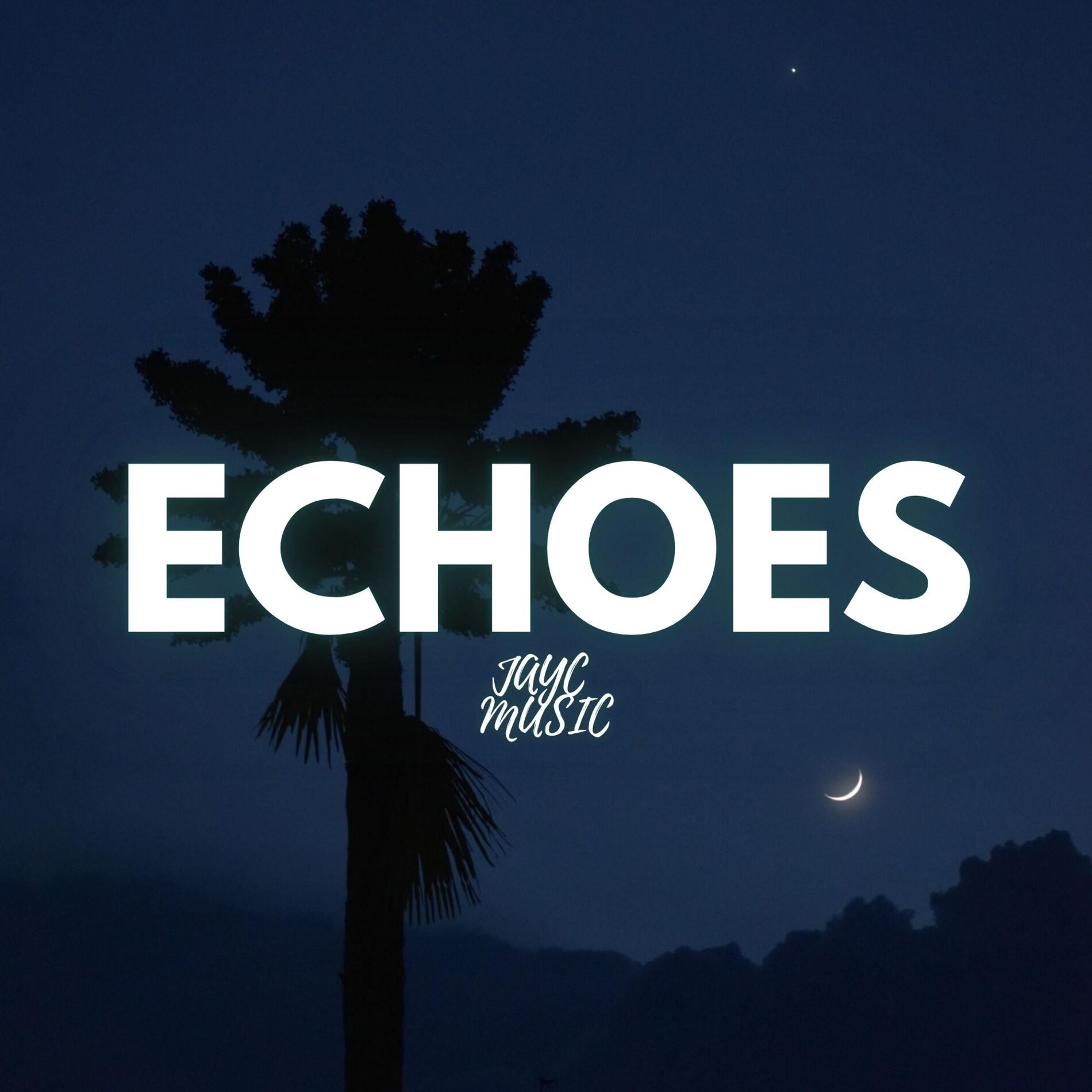 Album cover of Echoes