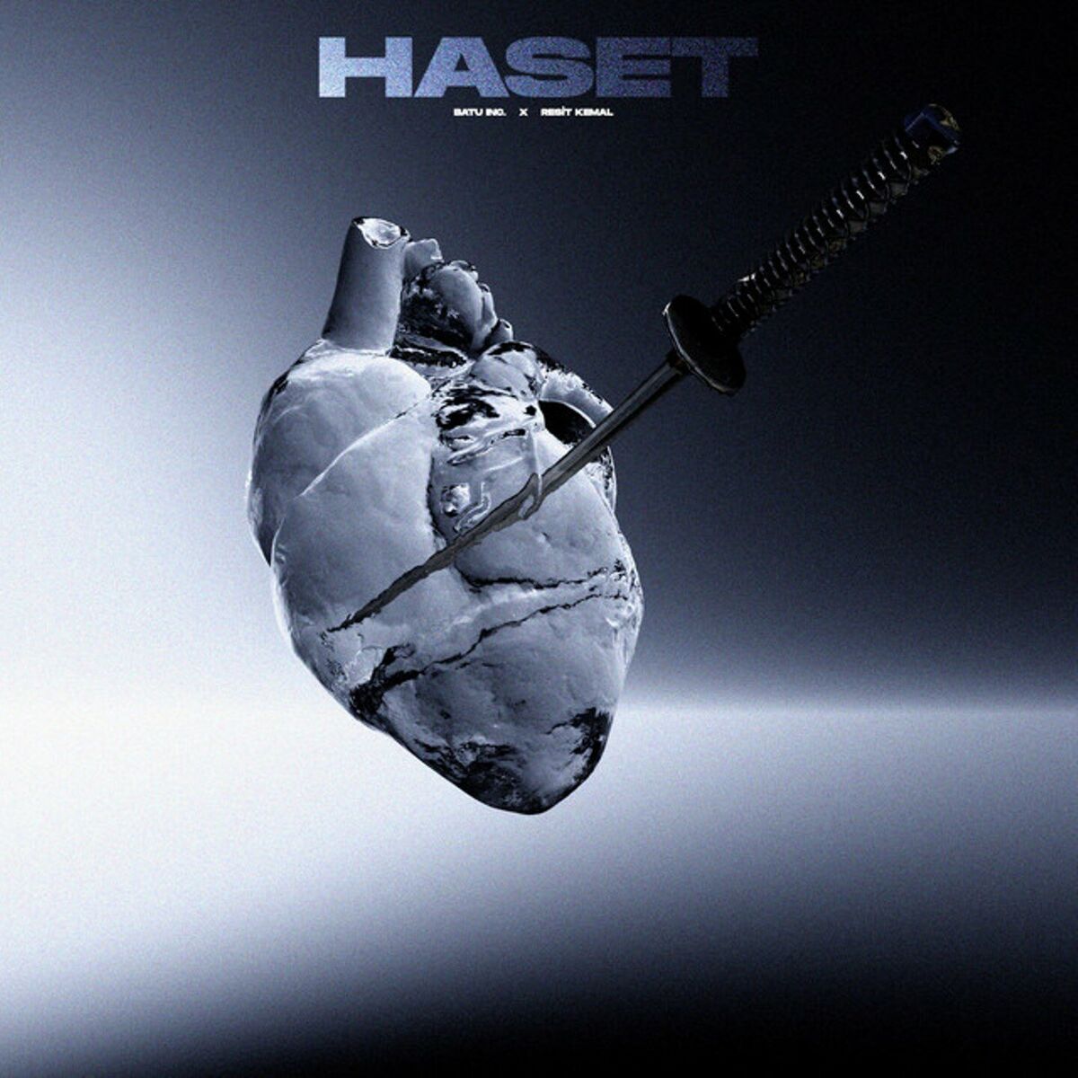 Album cover of HASET