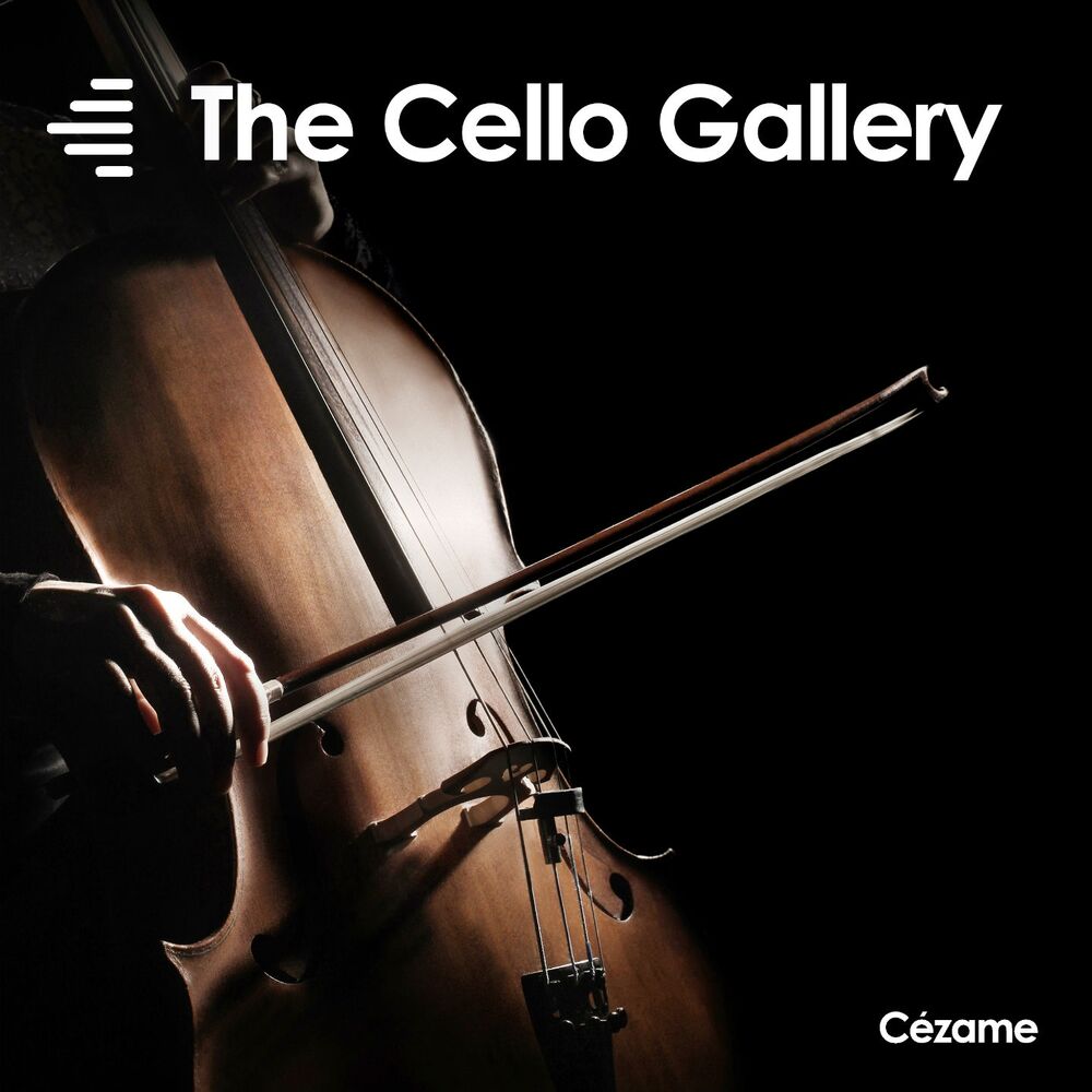 Picture of The Cello Gallery
