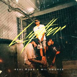 Cover of Lighter