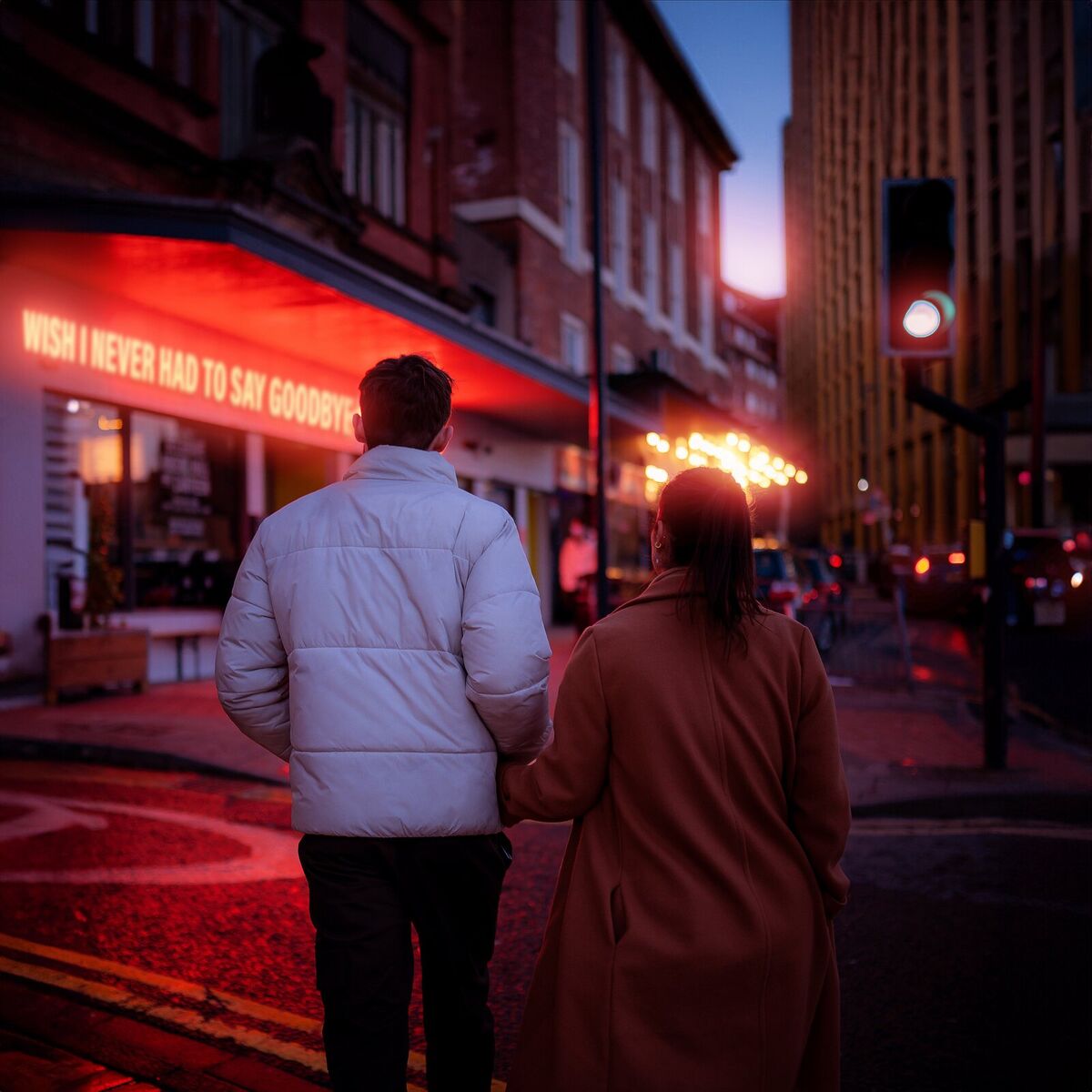 Album cover of Wish I Never Had to Say Goodbye