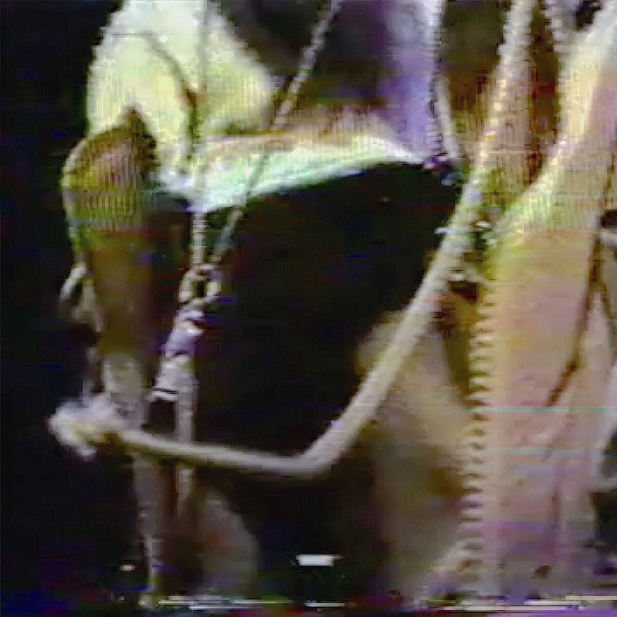 Album cover of SleepMode