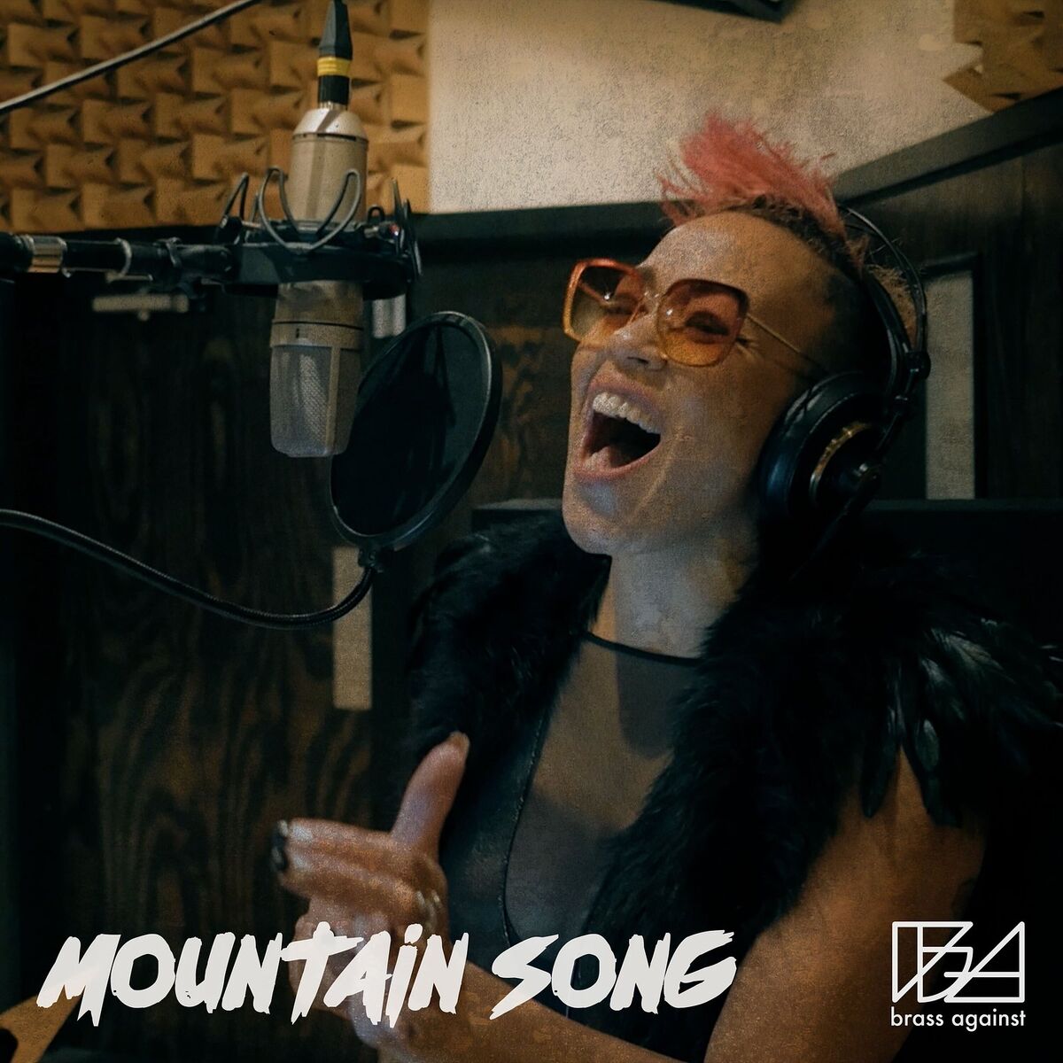 Album cover of Mountain Song