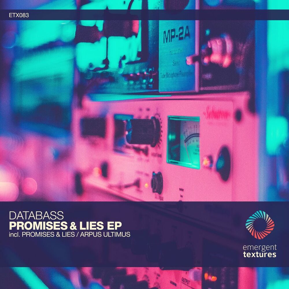 Picture of Promises & Lies