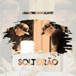 Cover of Solteirão